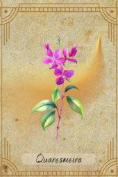 card-6