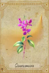 card-8