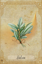 card-32