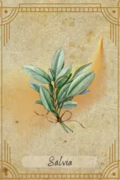 card-1