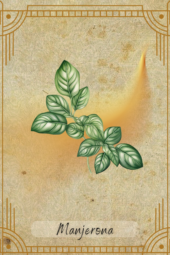 card-15