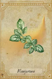 card-12