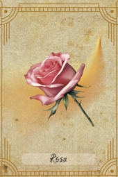 card-5