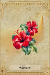 card-31