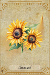 card-22