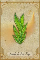 card-21