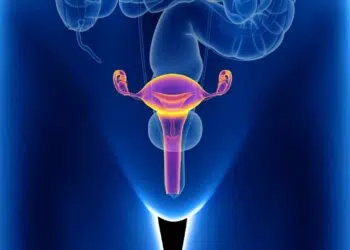 Menopausa: metafísica e uma oportunidade de conexão