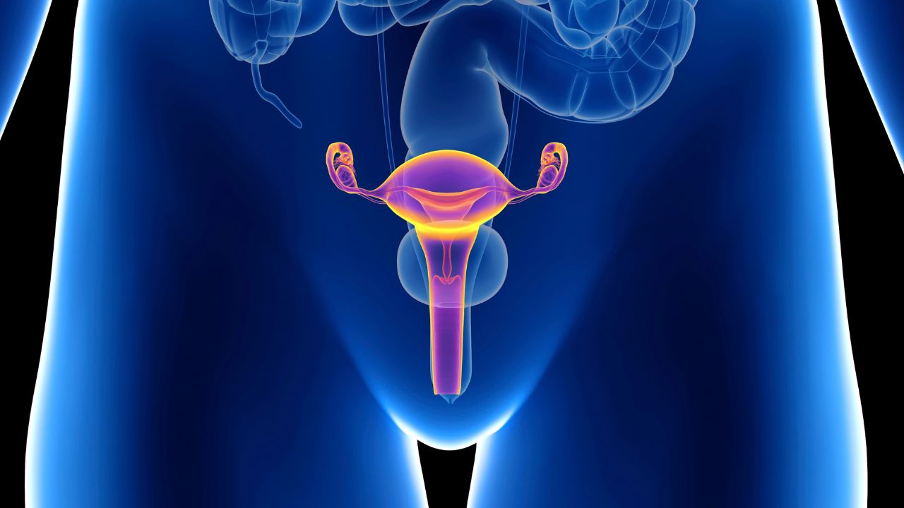 Menopausa: metafísica e uma oportunidade de conexão