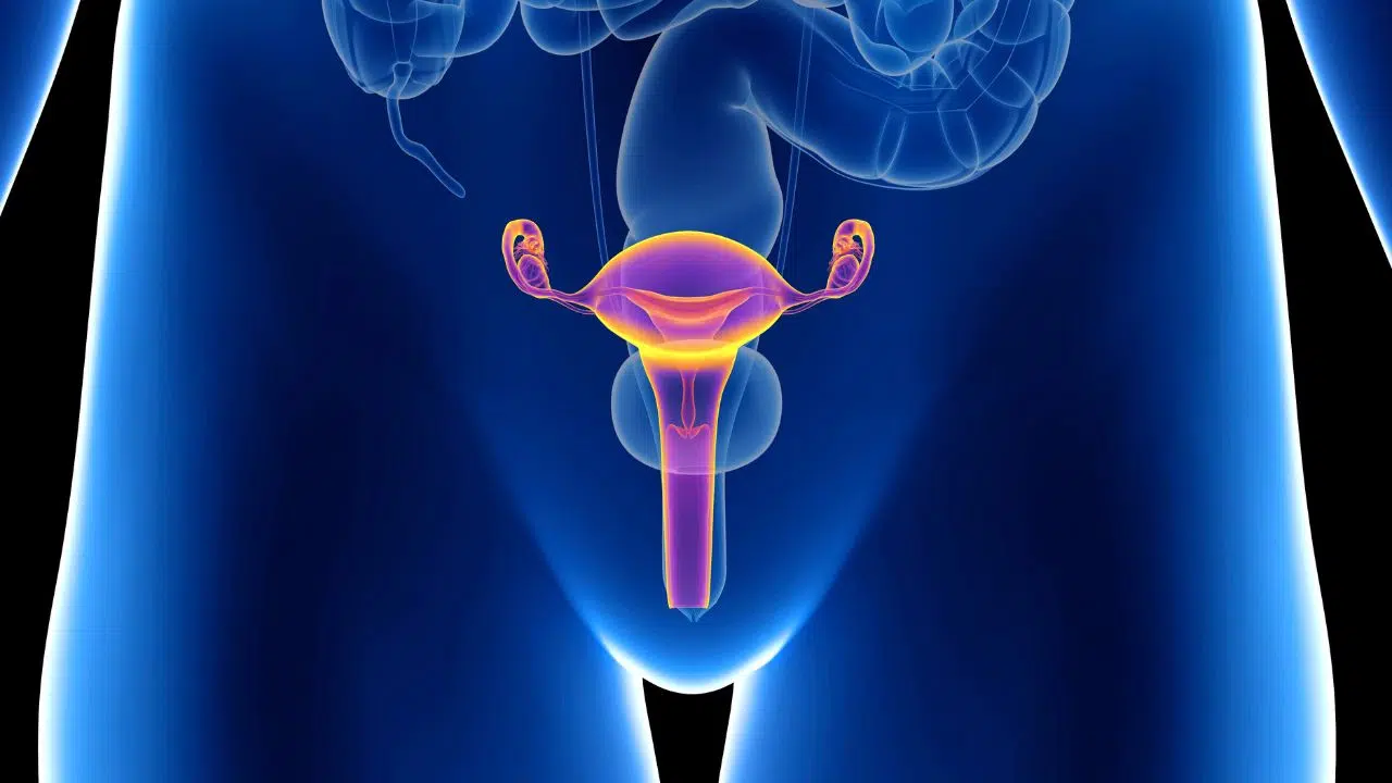 Menopausa: metafísica e uma oportunidade de conexão