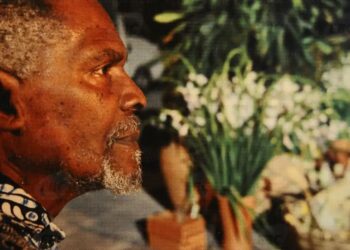 Encontro de Cinema Negro Zózimo Bulbul oferece programação diversa e internacional