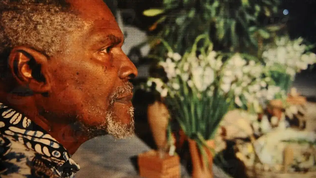 Encontro de Cinema Negro Zózimo Bulbul oferece programação diversa e internacional