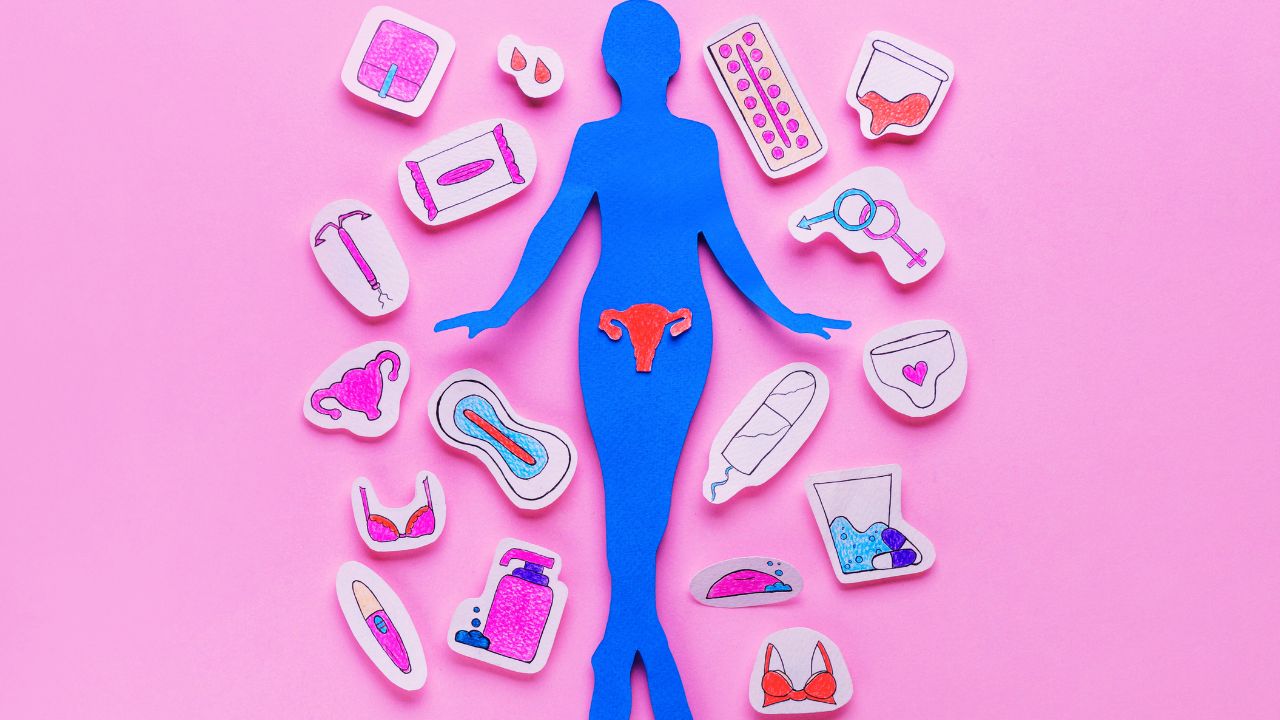 Ciclo Menstrual: Compreenda as Fases e os Arquétipos que Revelam Suas Emoções