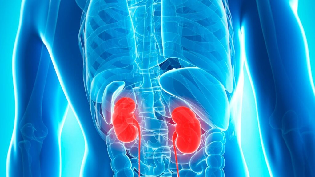 Transtornos urinários: a voz da mágoa e do ressentimento