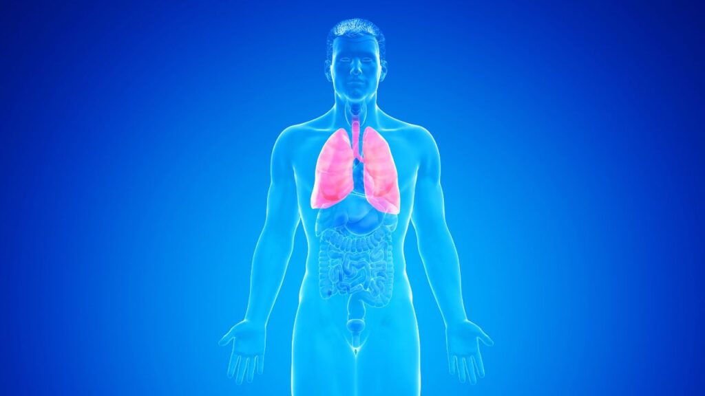 Asma: um reflexo emocional que pede atenção