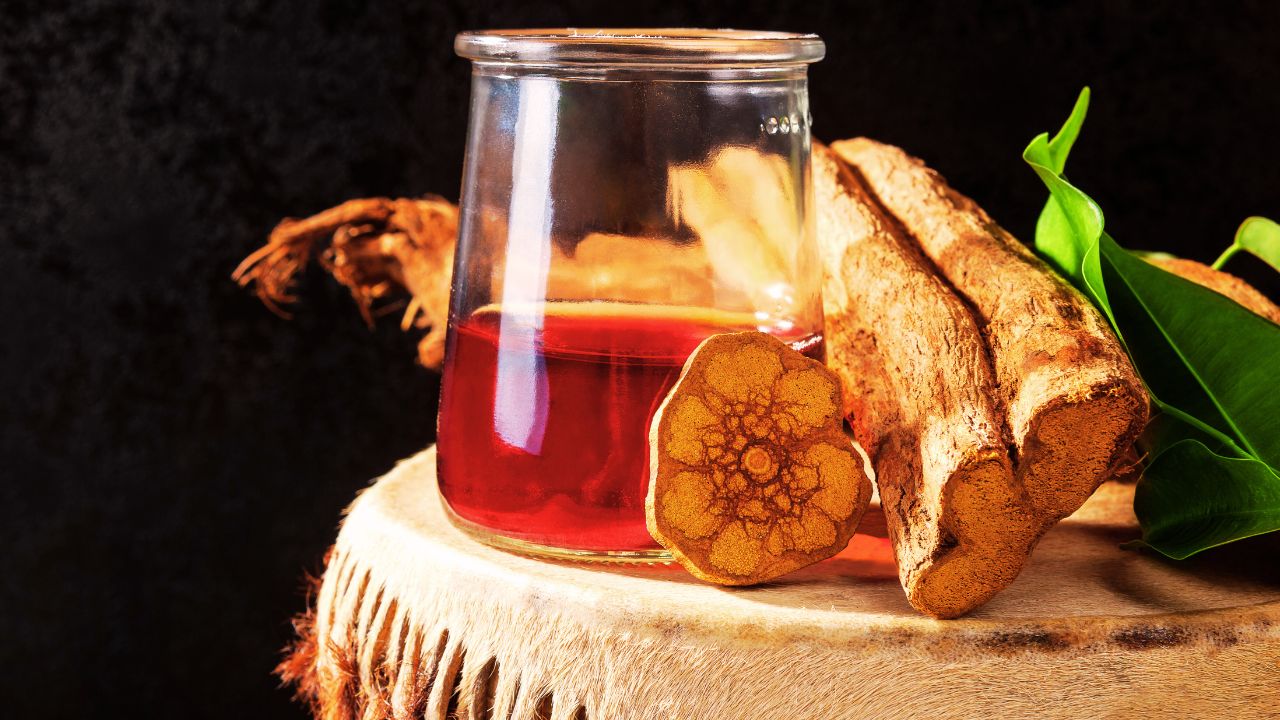 Ayahuasca: uma jornada de expansão e autoconhecimento