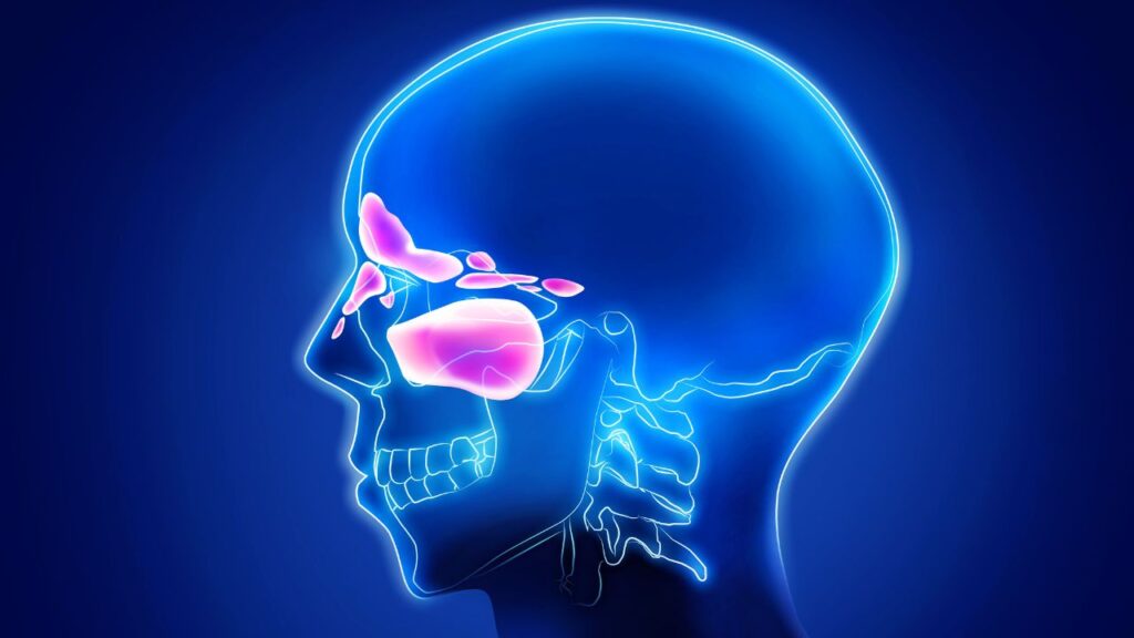 Rinite e Sinusite: o reflexo das emoções não expressas