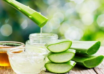 Babosa: benefícios, usos medicinais e como utilizar no dia a dia