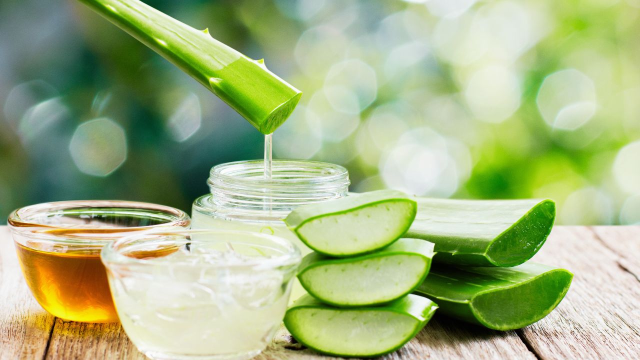 Babosa: benefícios, usos medicinais e como utilizar no dia a dia