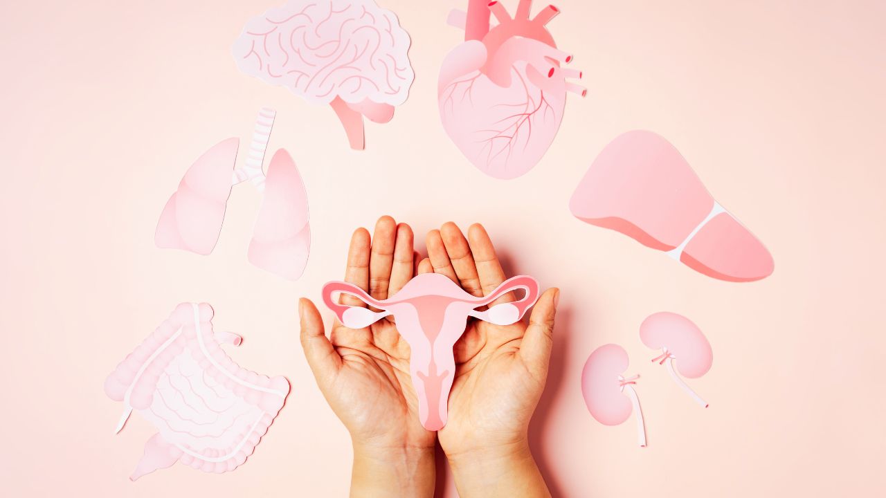 Ciclos menstruais curtos ou longos refletem padrões emocionais. Saiba como reconectar-se à sua criança interior e equilibrar seu ciclo.