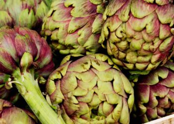 Alcachofra: benefícios, usos medicinais e como utilizar no dia a dia
