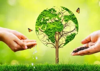 Igreja na América Latina define estratégias para a COP 30 e reforça compromisso ambiental