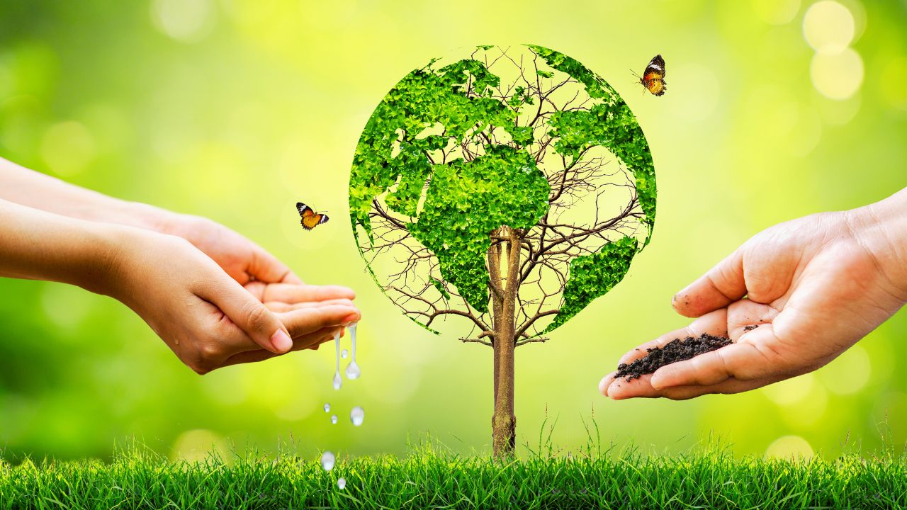 Igreja na América Latina define estratégias para a COP 30 e reforça compromisso ambiental