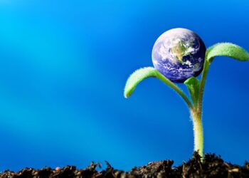 Ora-pro-nóbis e sabedoria ancestral: como plantas alimentícias não convencionais apontam caminhos para o futuro