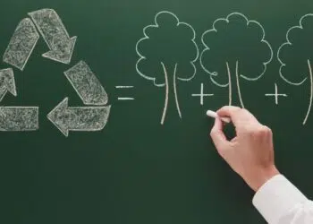 Educação ambiental: a transformação urgente para um futuro sustentável