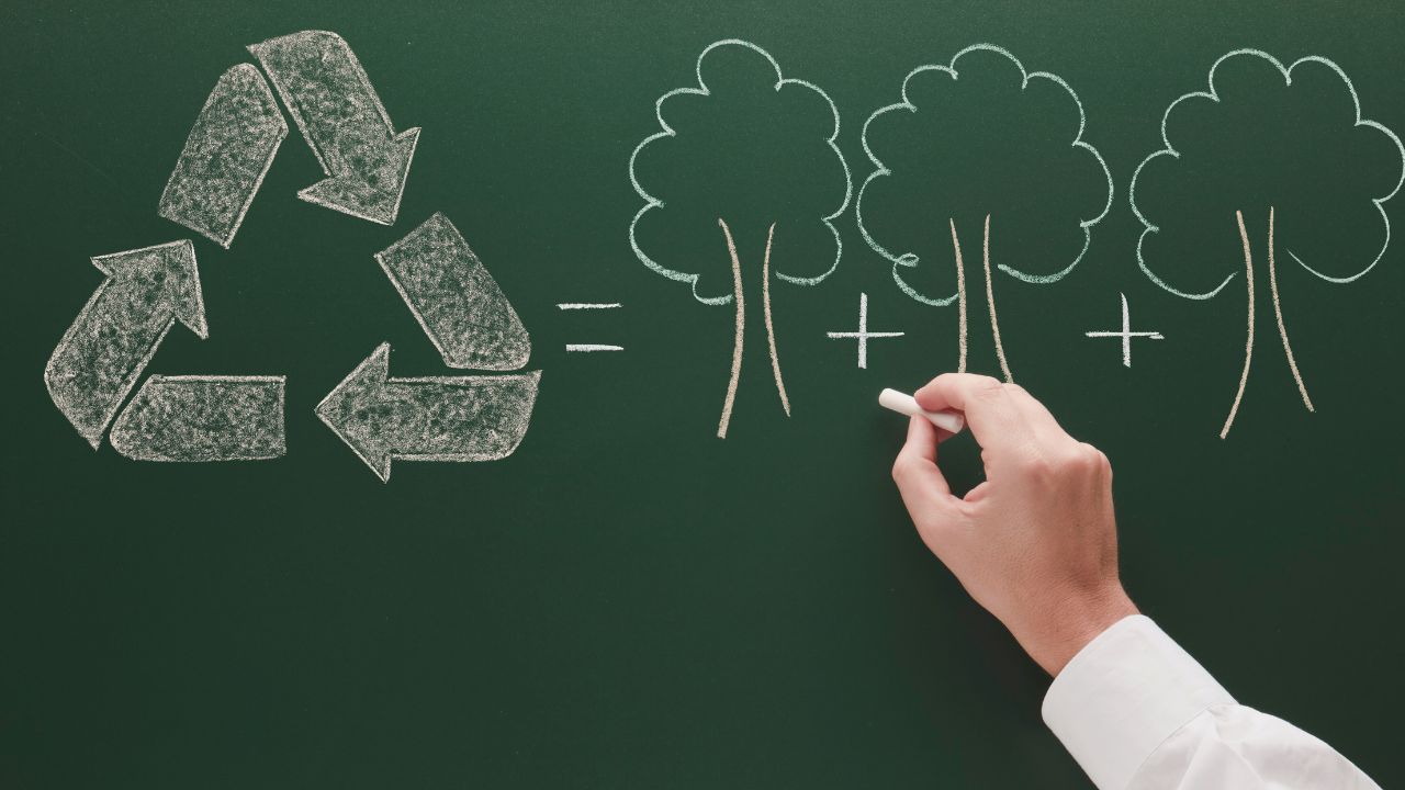 Educação ambiental: a transformação urgente para um futuro sustentável