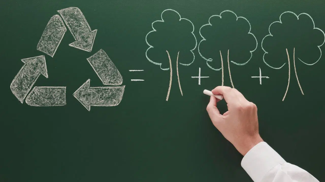 Educação ambiental: a transformação urgente para um futuro sustentável