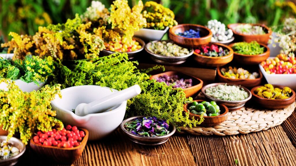 Conheça 3 plantas medicinais para aliviar cólica menstrual de forma natural