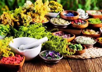 Conheça 3 plantas medicinais para aliviar cólica menstrual de forma natural