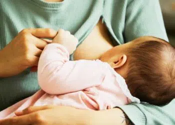 Plantas medicinais que aumentam a produção de leite materno