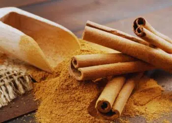 Canela: benefícios, usos medicinais e como utilizar no dia a dia