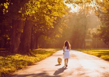 Vida: uma poesia que celebra os caminhos e sentimentos da existência