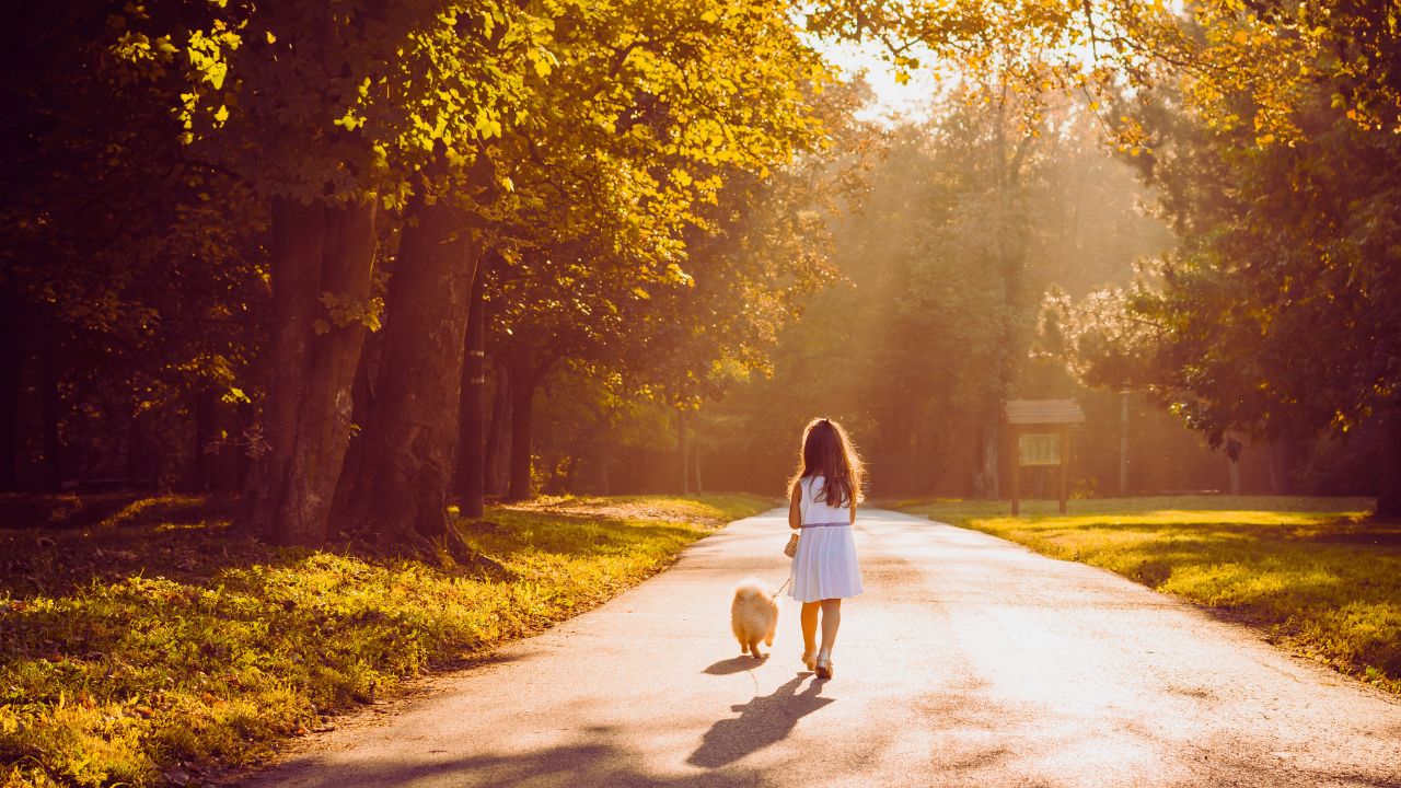 Vida: uma poesia que celebra os caminhos e sentimentos da existência