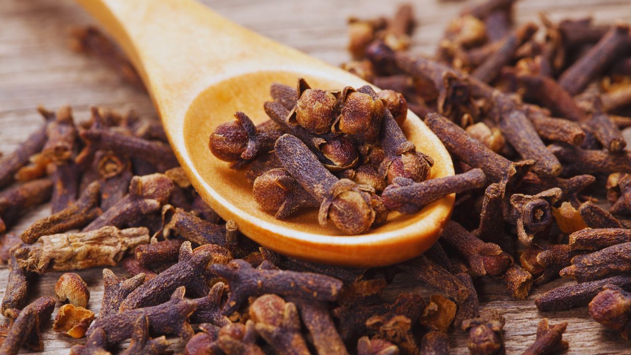 Cravo-da-Índia: benefícios, usos medicinais e como utilizar no dia a dia