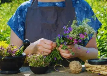 Plantas medicinais: como aproveitar seus benefícios e produzir remédios naturais