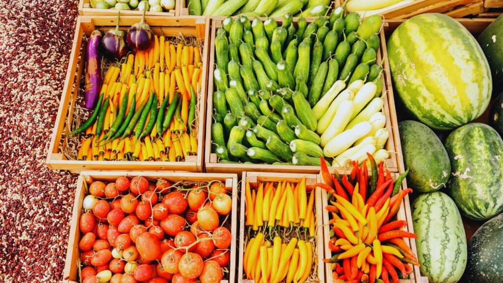 Agricultura regenerativa: restaurando solos e reequilibrando o futuro do planeta