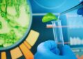 Biotecnologia verde: inovações sustentáveis que transformam o século XXI
