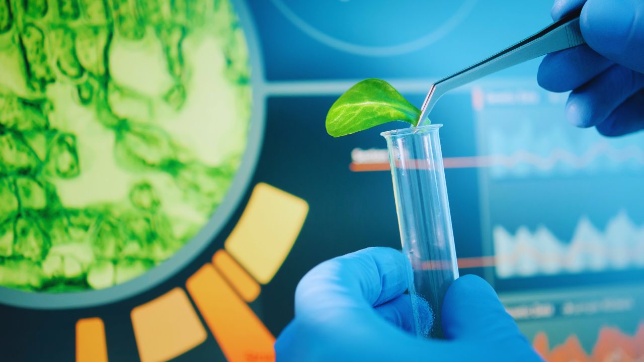 Biotecnologia verde: inovações sustentáveis que transformam o século XXI
