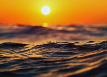 Conferência dos Oceanos: líderes mundiais discutem conservação e uso sustentável dos recursos do mar