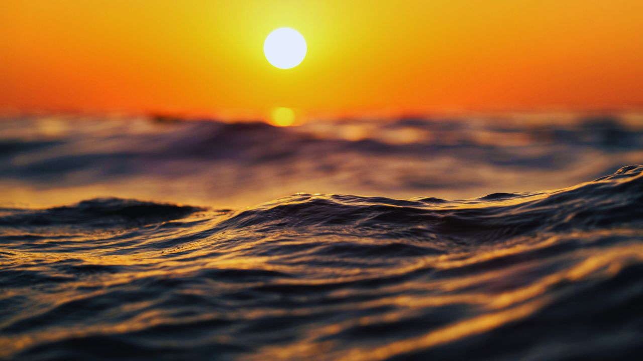 Conferência dos Oceanos: líderes mundiais discutem conservação e uso sustentável dos recursos do mar