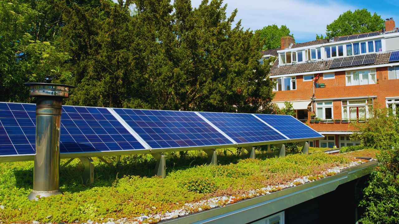 Estudo revela alto retorno em investimentos de adaptação climática