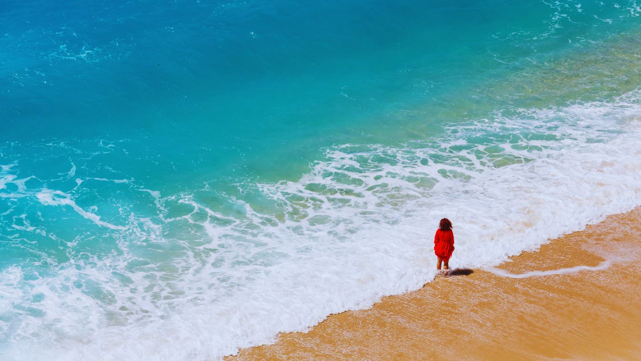 Cantor do mar: poesia em homenagem a Martins Fontes e às ondas da inspiração