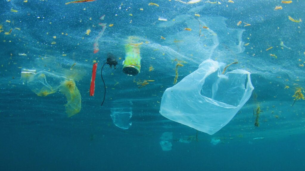 A crise dos oceanos: como a poluição e a acidificação colocam o planeta em risco