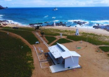 Ilha da Trindade se torna modelo de recuperação ambiental após remoção de espécie invasora