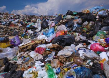 Lixões em capitais brasileiras representam risco de desastre ambiental, alerta Abrema