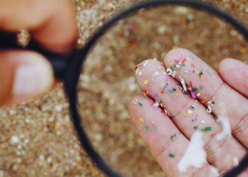 Microplásticos no cérebro: um alerta global sobre a nova fronteira da contaminação