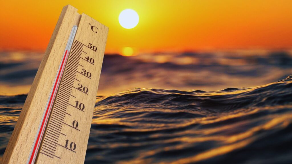 Ondas de calor marinhas revelam colapso iminente na costa brasileira